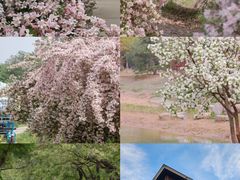 -永定河休闲森林公园