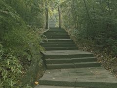 -铁山坪森林公园