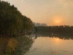 -昆山城市生态森林公园