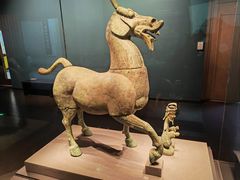 -广西壮族自治区博物馆