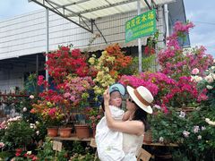 -桂林市花鸟市场