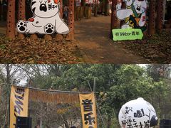 -南宁良凤江国家森林公园