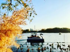 -朝阳公园