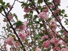 -观澜湖生态运动公社