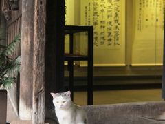 -前童古镇