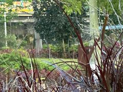 -怡海公园(桂城街道)