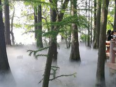 -东湖落雁景区