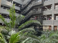 -黑龙江中医药大学附属第一医院