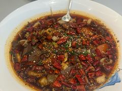 -金熊猫川菜餐厅