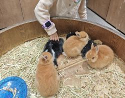 -Zoolung Zoolung动物主题公园(海信广场店)