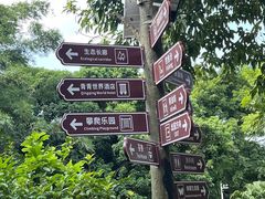 -青青世界