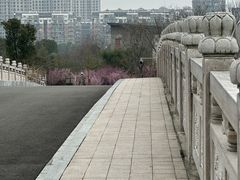 -三垟湿地