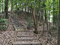 -南山植物园