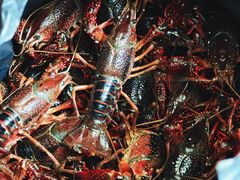 -众彩物流水产市场