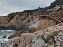 -广东惠东海龟国家级自然保护区