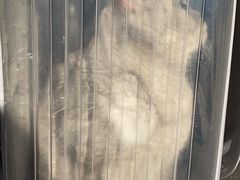 -爱侣宠医·鹦鹉专科·小型哺乳类·异宠专科(灵石路店)