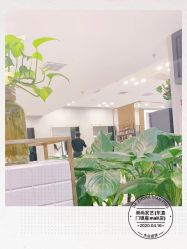 -崇尚GAVIN STYLE