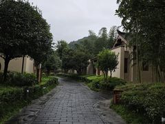 -青城山六善酒店·紫氣園中餐厅