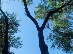 -玲珑塔公园