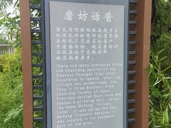 -马家湾湿地公园