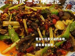 -高坎一品甲鱼庄(两河店)