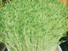 -洪氏嗨捞·广东猪肚鸡·椰子鸡火锅(西咸万象城店)