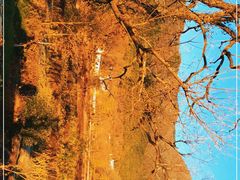 -塔川景区