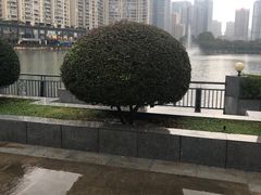 -西北湖绿化广场