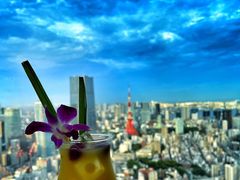 -六本木新城展望台(东京城市景观)