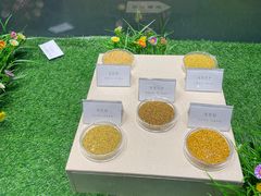-广东中医药博物馆