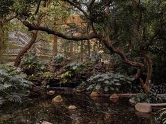 -广州兰圃