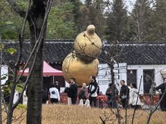 -溱湖国家湿地公园