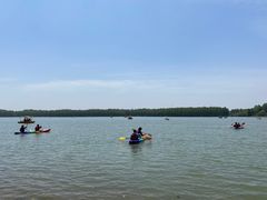 -上海海湾国家森林公园