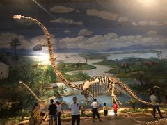 -自贡恐龙博物馆