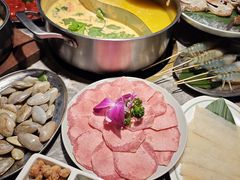 -禄婶鸡煲·打边炉