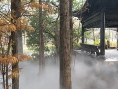 -东湖落雁景区