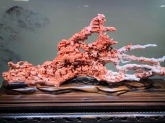 -绮丽珊瑚(台北101旗舰门市店)