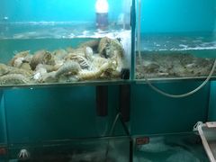 水产区-小时候焗海鲜(鄞州万达店)