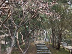 -团结湖公园