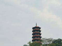 -红花山公园