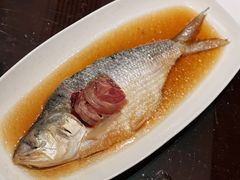酒糟鲥鱼-走马楼饭庄(慈城古县城店)