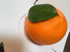 -TD66高山铁皮石斛养生茶饮