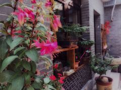 -遥桥古堡