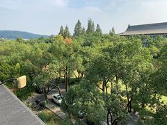 -浙江大学(玉泉校区)