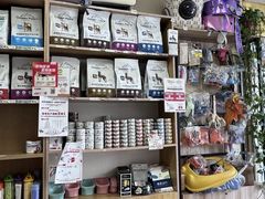 -中农大我爱我爱24h动物医院·中医针灸·猫专科·骨科医疗中心(双井店)