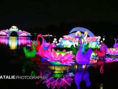 -映月湖公园