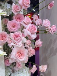 -北京嘉里大酒店·宴会厅婚宴·户外婚礼·生日宴