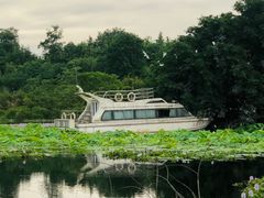 -白鹭湾湿地公园