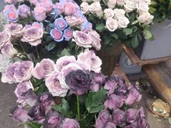 -循礼门鲜花花市(武汉循礼门店)