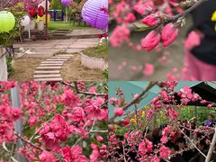 -桃源山庄·水蜜桃采摘·柴火鸡·烧烤团建(龙泉山店)